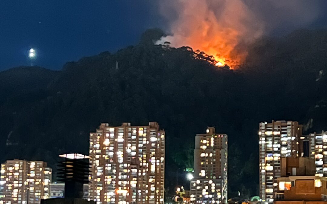 El riesgo ambiental de construir un sendero en los cerros de Bogotá